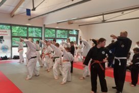 Karate
